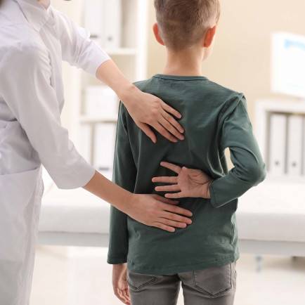 Professional Organization Partners